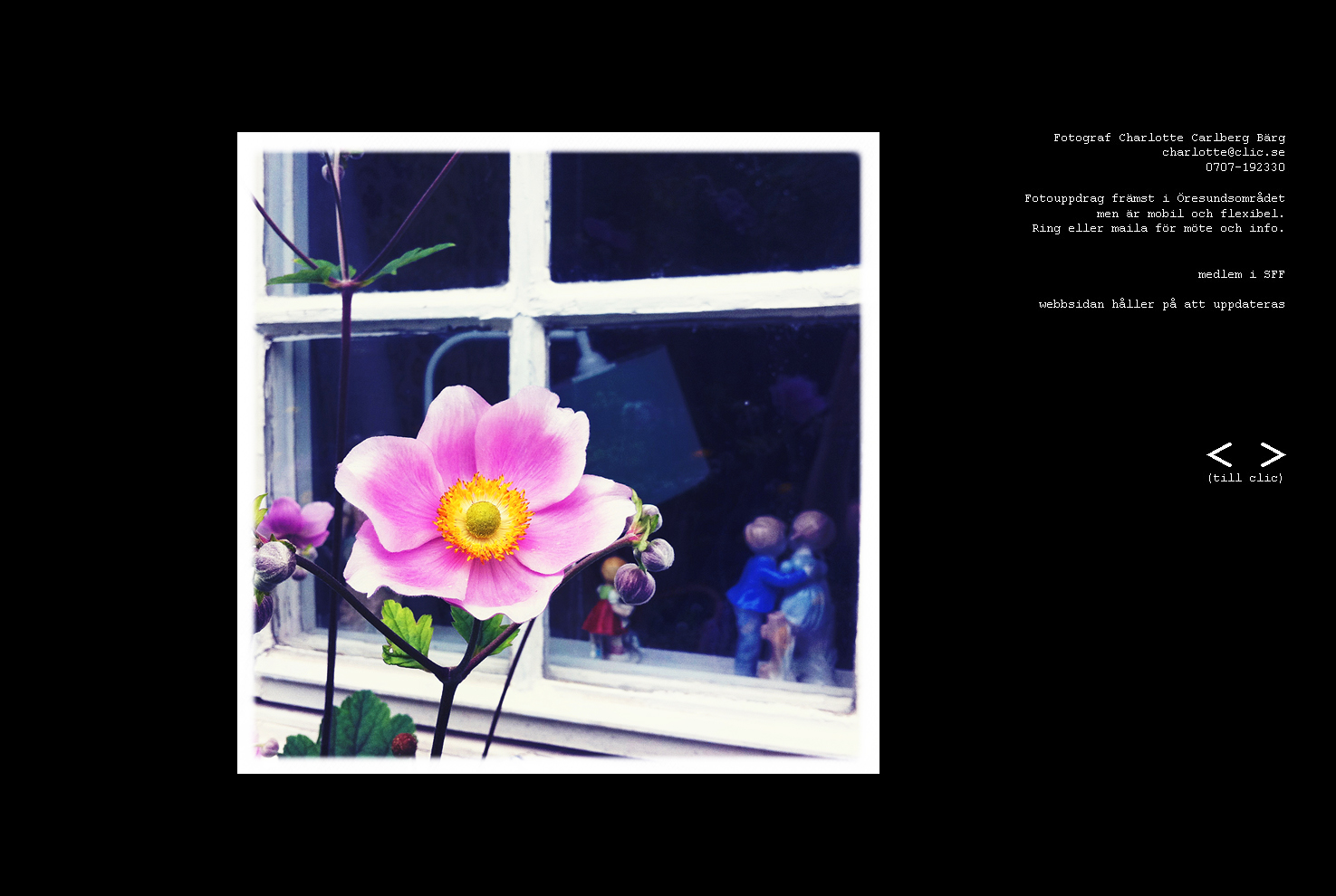 indexbild_anemon_clic.se