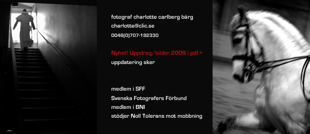 munk_hast_intro2010